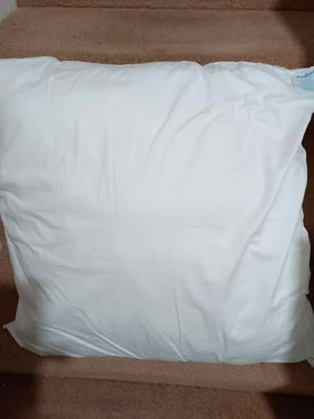 Photo of free 2 large cushion pads (Wavertree, L15) #2