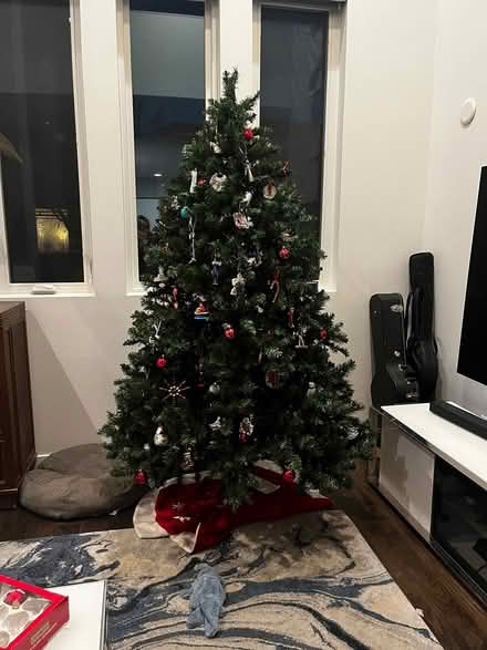 Photo of free fake Christmas Tree (South Longmont, Prospect) #2