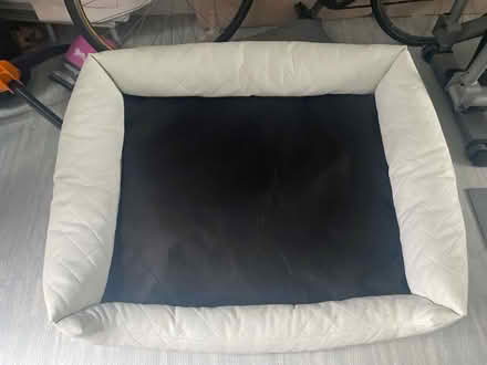 Photo of free Extra large dog bed (Tovil ME15) #1