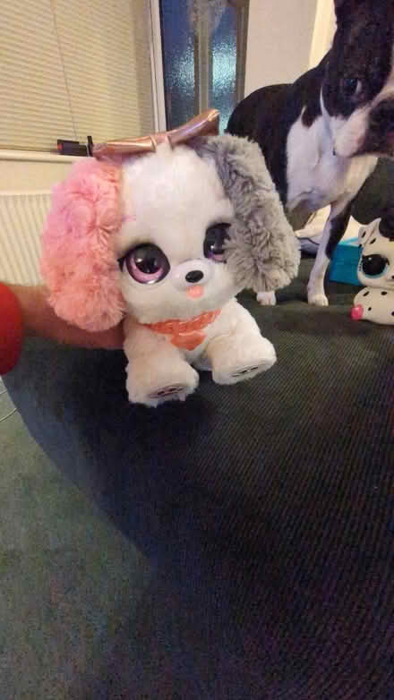 Photo of free Children's toys (BR1) #2