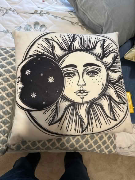 Photo of free Cuahion (Ascot SL5) #1