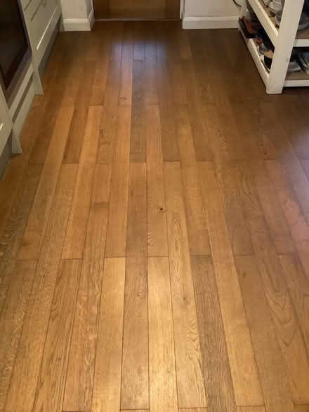Photo of free Engineered oak flooring (Surrenden BN1) #1