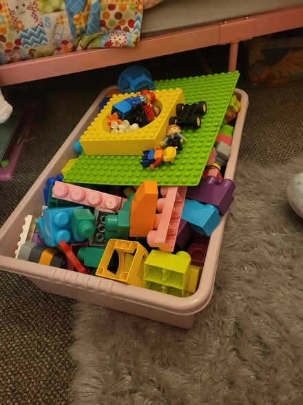 Photo of free Duplo (TQ3) #1