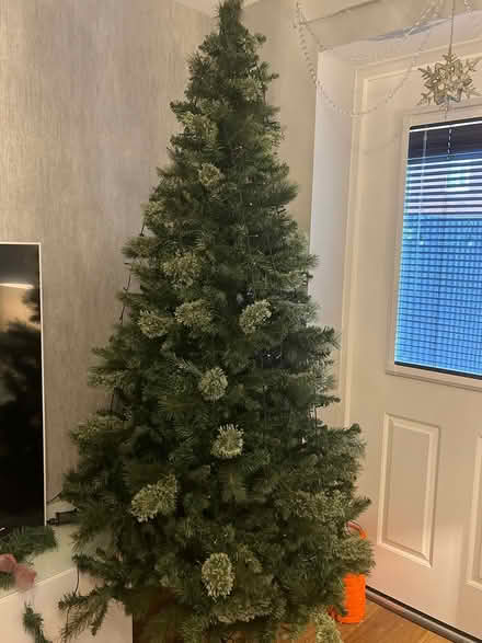 Photo of free 7f Christmas tree (Kempston) #1