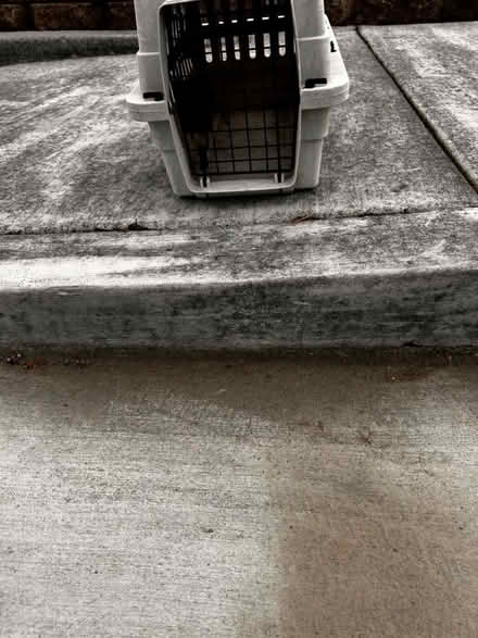 Photo of free Small pet carrier (Fremont) #4