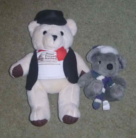 Photo of free Two small teddy bears (Raymond's Hill EX13) #1