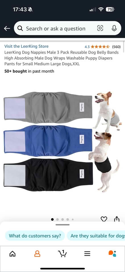 Photo of free Dog pants (Bishops Tachbrook CV33) #3