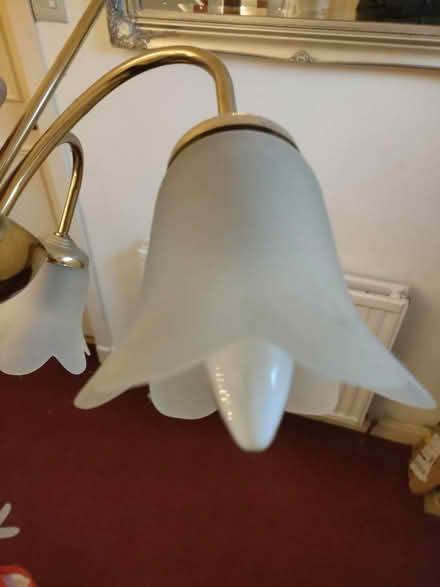 Photo of free Ceiling Light shade (G62, Milngavie) #2