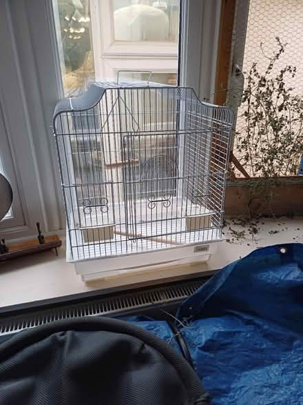 Photo of free Bird cage (Yaxley) #1