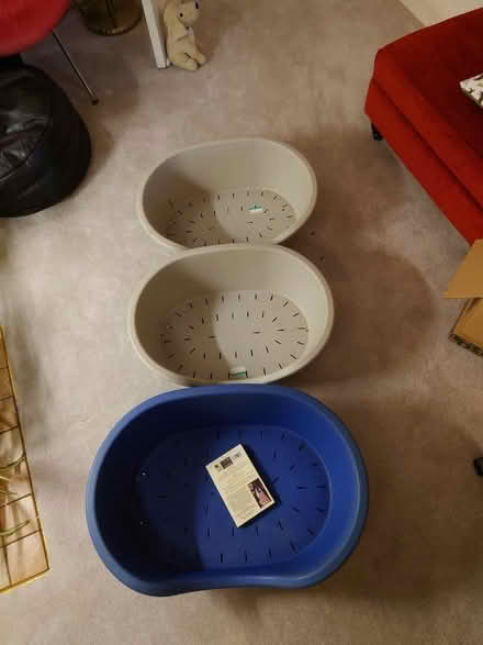 Photo of free Dog beds (Bear Flat) #1