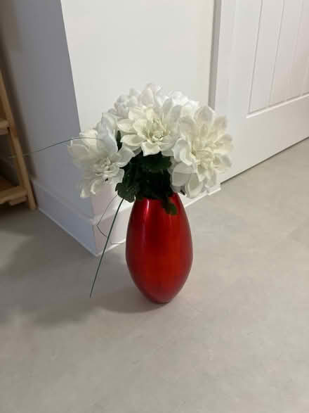Photo of free Flower with vase (ME8) #1