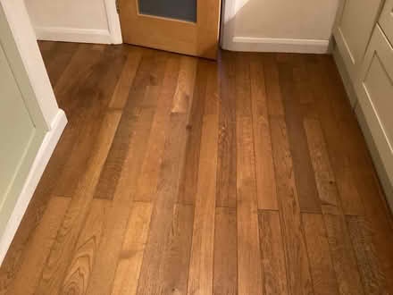 Photo of free Engineered oak flooring (Surrenden BN1) #2