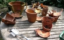 Photo of Got pots (Watertown/Waltham/Belmont line) #1