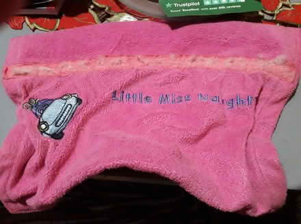 Photo of free seatbelt comfort pad (Galgate LA2) #1
