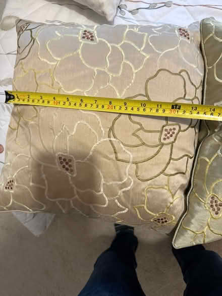 Photo of free Cushions (Ascot SL5) #2