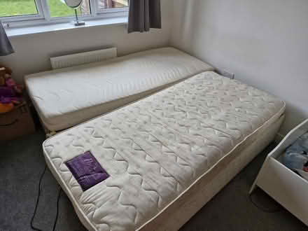 Photo of free Electric mobility beds (2 x single) (Taylor Wimpey Lichfield) #1