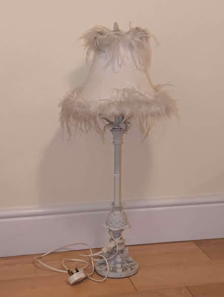 Photo of free Fluffy table lamp (Battle RG30) #1