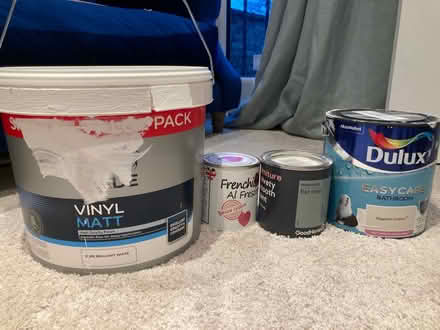 Photo of free Used paint (SW19) #1