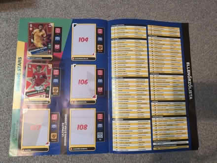 Photo of free UEFA EURO2024 football album (Priestwood RG42) #3