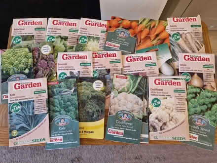 Photo of free Vegetable seeds (Cheshunt EN8) #1