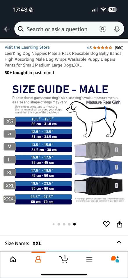 Photo of free Dog pants (Bishops Tachbrook CV33) #2