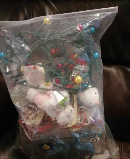 Photo of free Xmas bits (Oakley RG23) #1