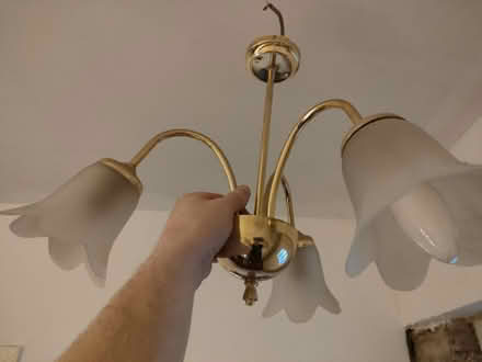 Photo of free Ceiling Light shade (G62, Milngavie) #1