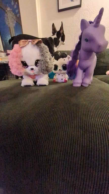 Photo of free Children's toys (BR1) #1