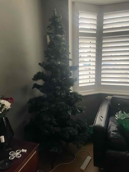 Photo of free Xmas tree (Bromley BR2) #1