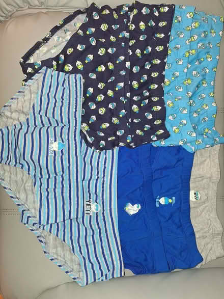 Photo of free Boys 10 - 11 year old briefs - brand new (Newport Pagnell MK16) #1
