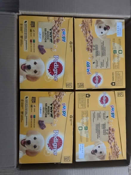 Photo of free Puppy food (GU14) #1
