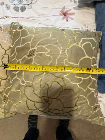 Photo of free Cushions (Ascot SL5) #1