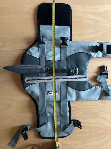 Photo of free Dog shark life jacket (Newgate Street SG13) #3
