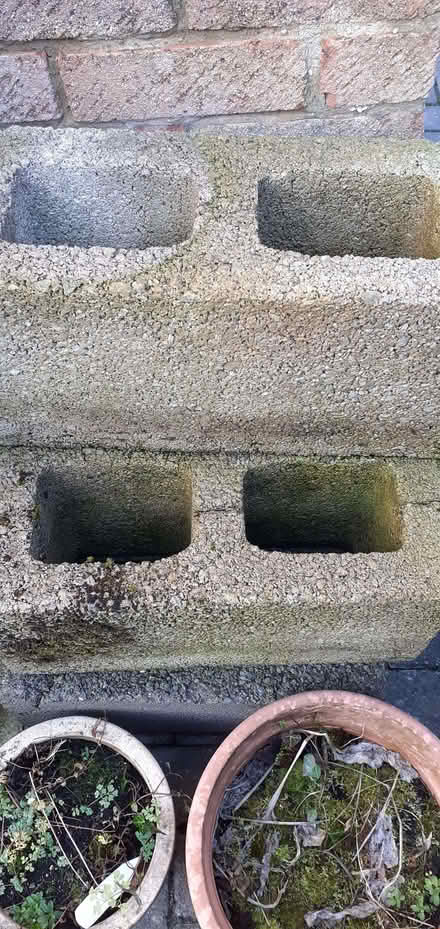 Photo of free 5 Breeze blocks (Dursley GL11) #1