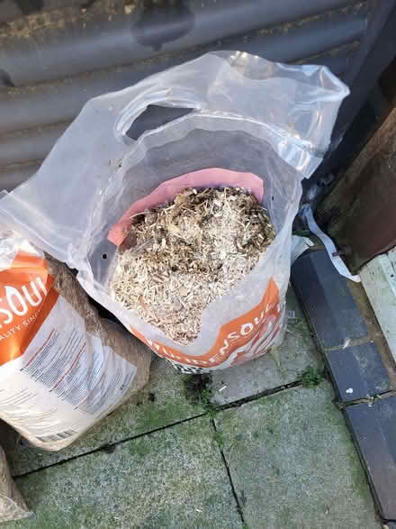 Photo of free Chicken litter (Upton CH49) #1