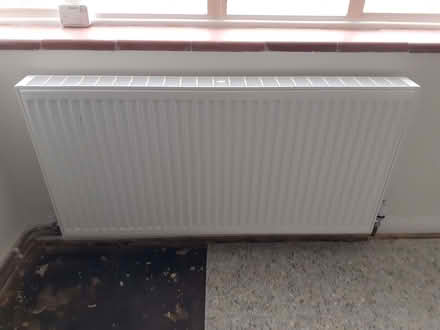 Photo of free five double radiators - only recently installed (East Blatchington BN25) #1