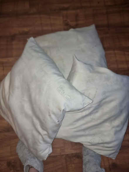 Photo of free Large cushions (Eastbourne) #2