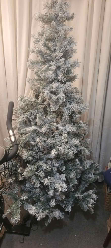 Photo of free Frosted 6ft xmas tree (E16) #2