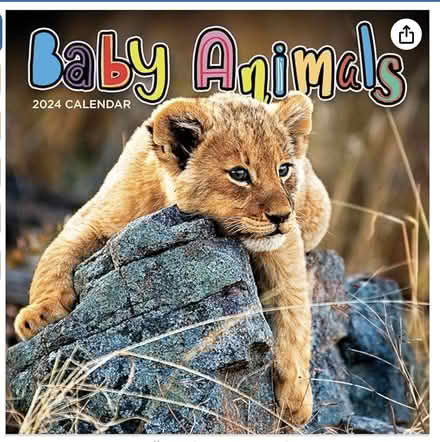 Photo of free Baby Animal Photos (San Anselmo, near the "hub") #2