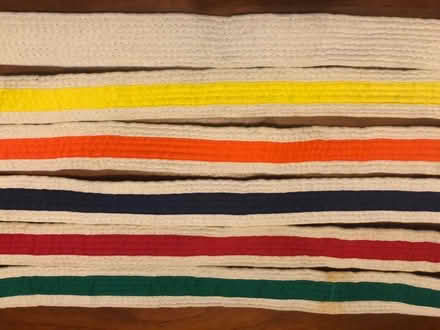 Photo of free Martial arts belts (Kempston MK42) #1