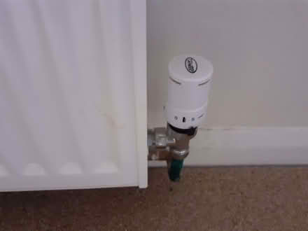 Photo of free five double radiators - only recently installed (East Blatchington BN25) #3