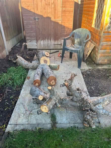 Photo of free Apple tree wood, for log burner (Barnard's Green WR14) #1