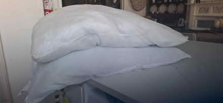 Photo of free Pillow (Streatham SW16) #1
