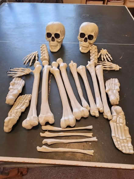 Photo of free Mixed bones for Halloween (Friendswood) #1
