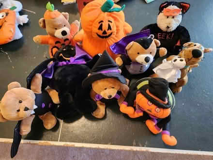 Photo of free Halloween stuffed things (Friendswood) #1