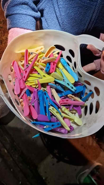 Photo of free Pegs and basket (Ingoldisthorpe, PE31) #1
