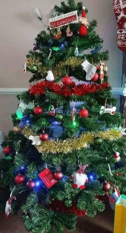 Photo of free Christmas tree (South Tranmere CH42) #1