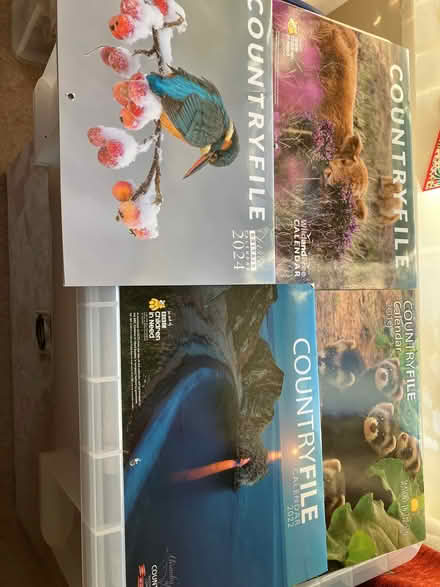 Photo of free Calendar pictures - old (Ashchurch GL20) #1