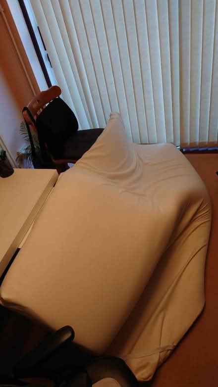 Photo of free King size mattress topper (kempston) #1