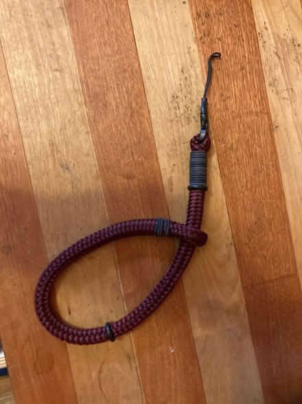 Photo of free Camera strap (Mt. Pleasant DC) #1
